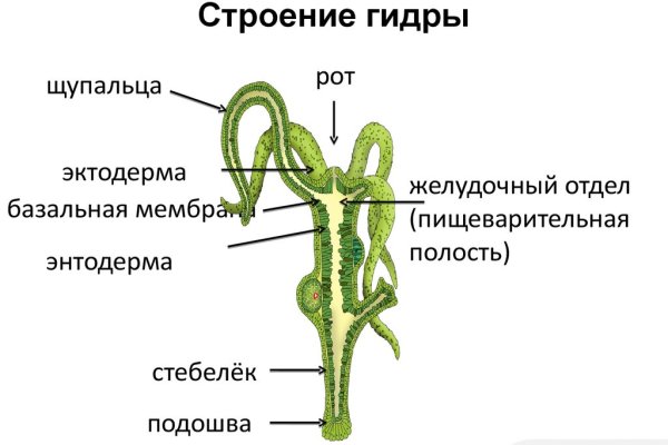 Кракен даркнет стор