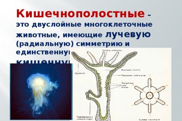 Ссылки на кракена и на мегу