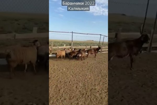 Вход в кракен чтобы купить меф