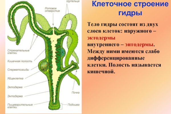 Кракен сайт как выглядит