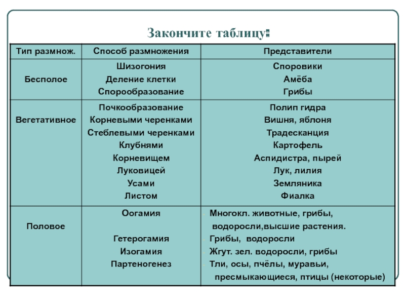 Как зайти на кракен без тора