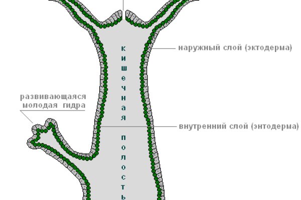 Где взять ссылку на кракен